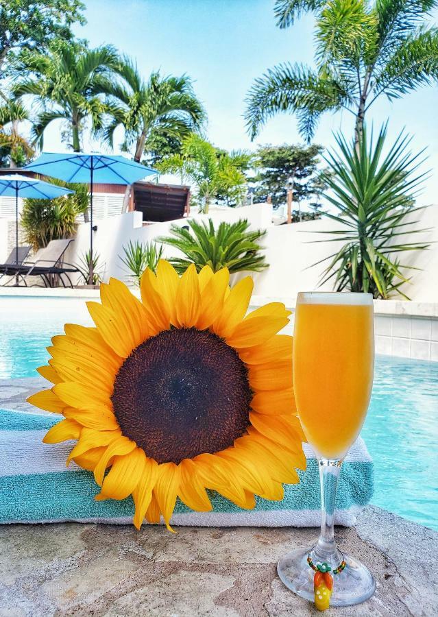 Casa Verde Hotel Rincón Eksteriør bilde